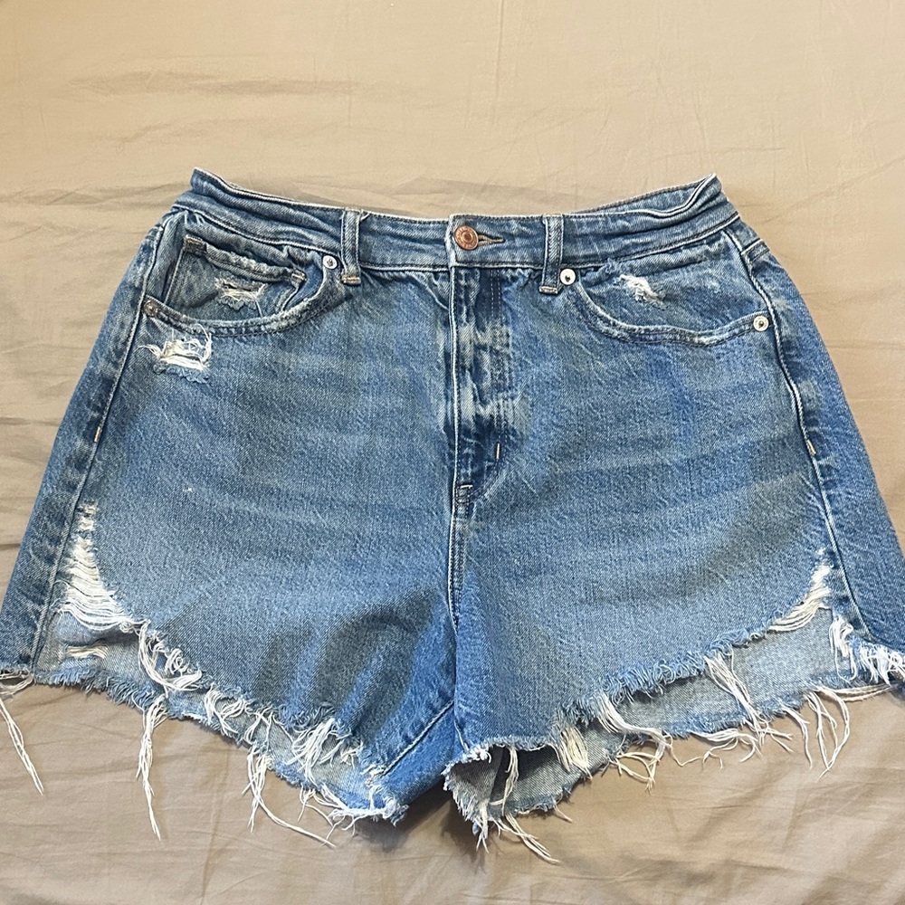 American Eagle Outfitters Light Blue Frayed Jean Shorts